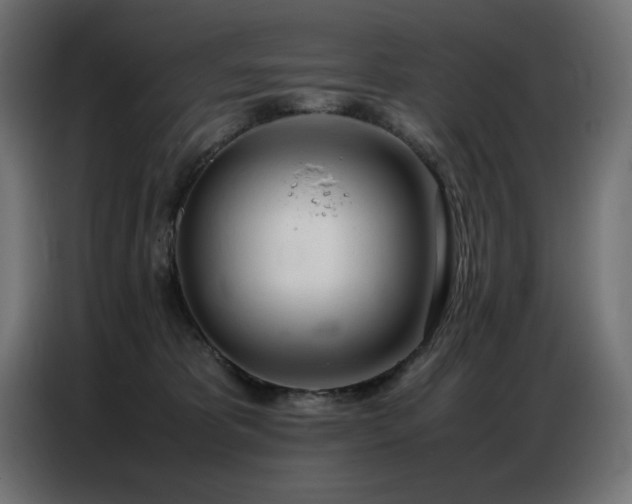 X0000086740325200704131134