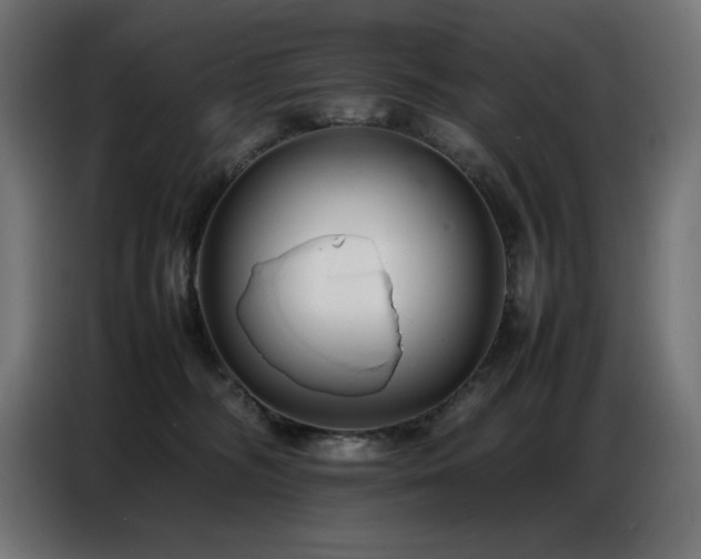 X0000086740326200704131134