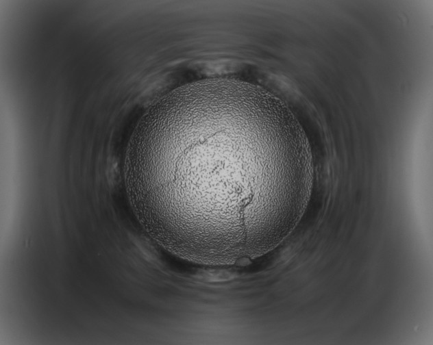 X0000086740327200704131134