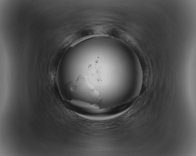 X0000086740329200704131134