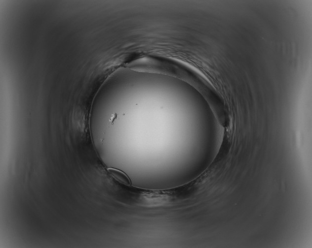 X0000086740331200704131134