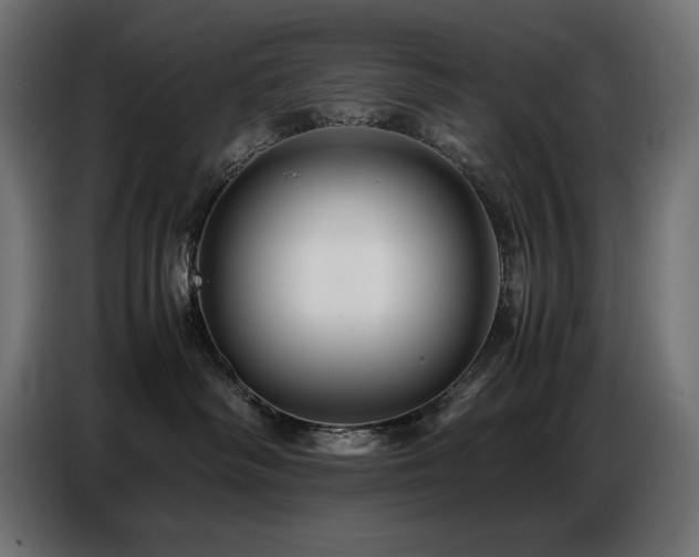 X0000086740334200704131134
