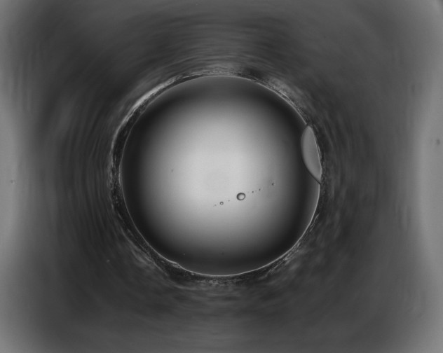 X0000086740338200704131133