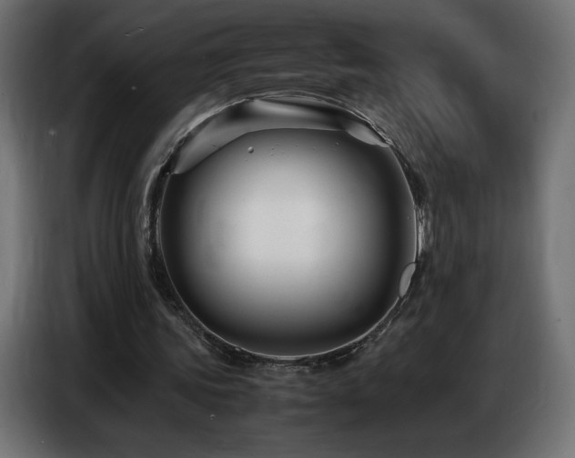 X0000086740339200704131133