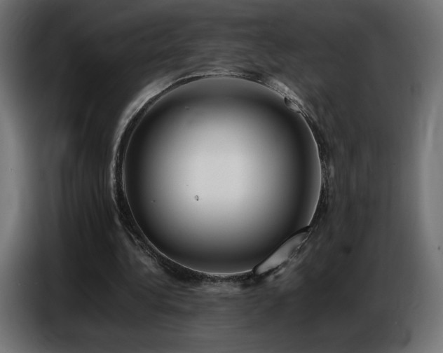 X0000086740340200704131133