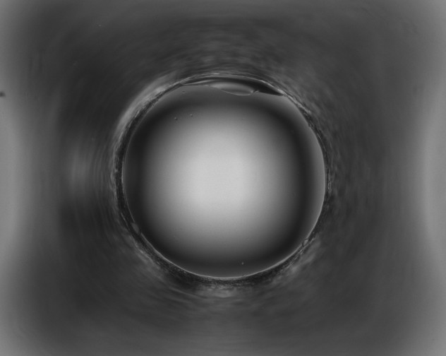 X0000086740341200704131133