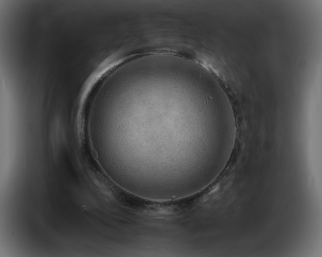 X0000086740343200704131133