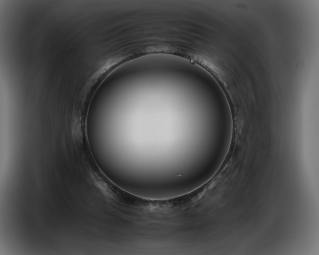 X0000086740345200704131133