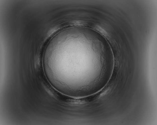 X0000086740347200704131133