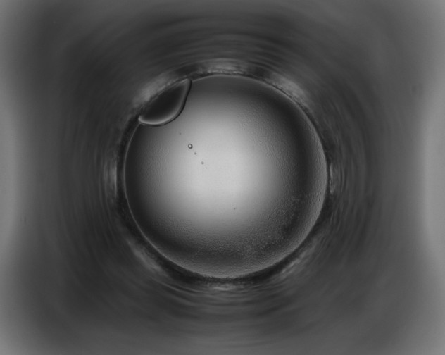 X0000086740349200704131133