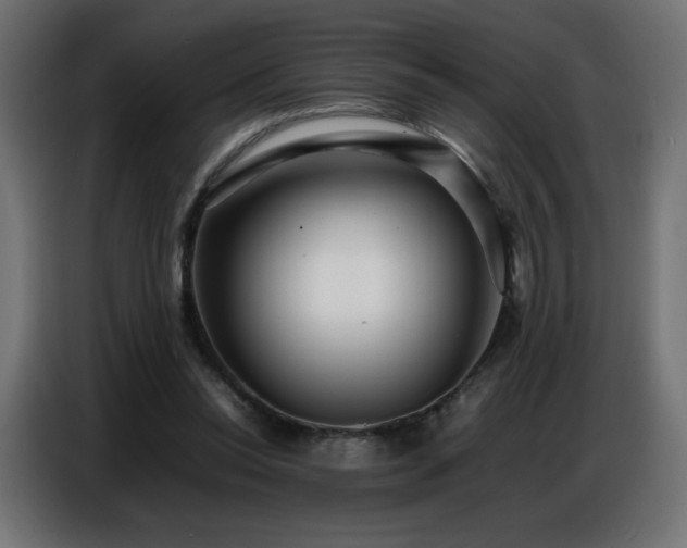 X0000086740350200704131134