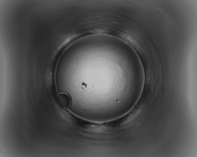 X0000086740351200704131134