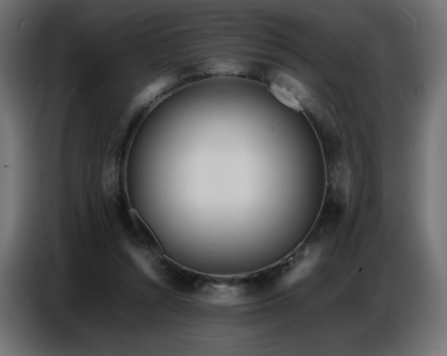 X0000086740352200704131134