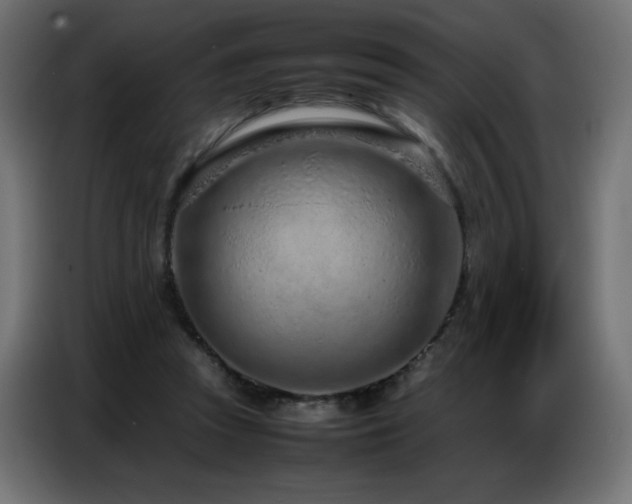 X0000086740353200704131134