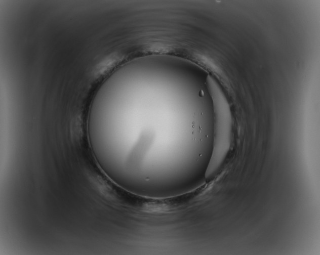 X0000086740354200704131134