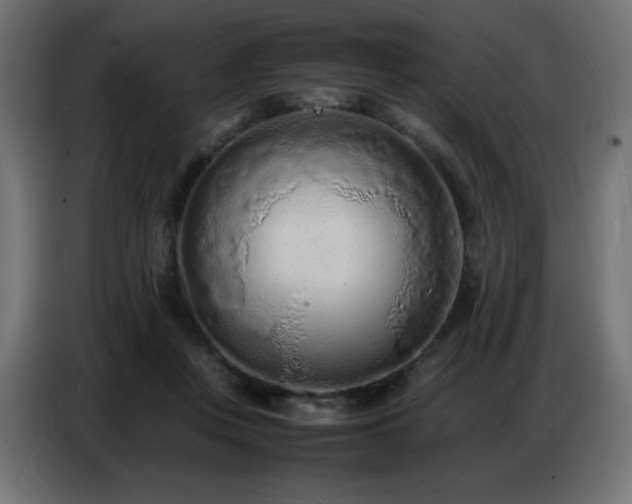 X0000086740359200704131134