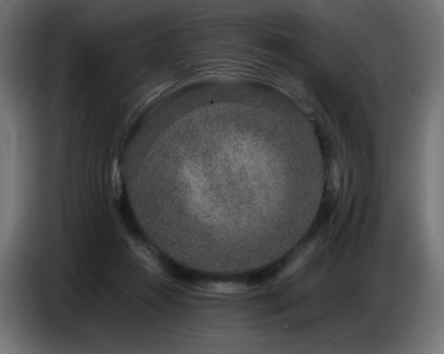 X0000086740360200704131134