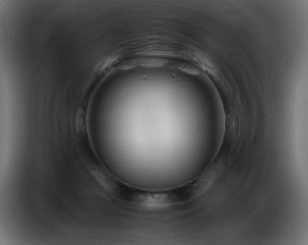 X0000086740361200704131134