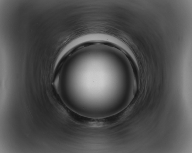 X0000086740362200704131134