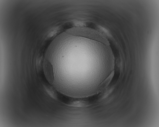 X0000086740364200704131134