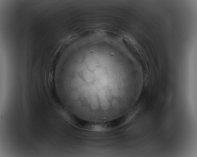 X0000086740365200704131134