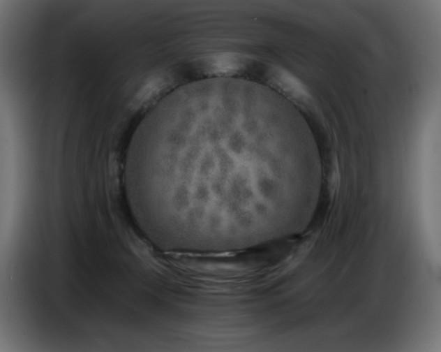 X0000086740366200704131134