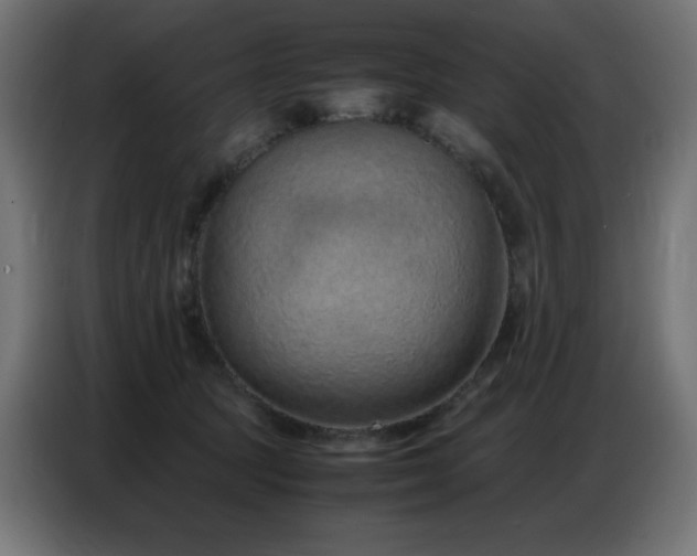 X0000086740369200704131134