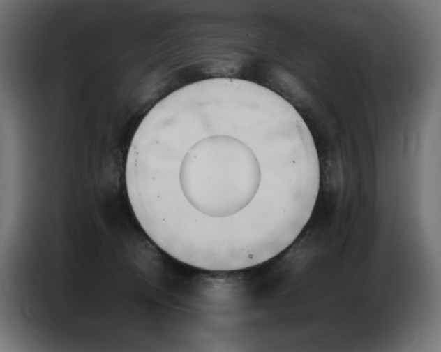 X0000086740370200704131134