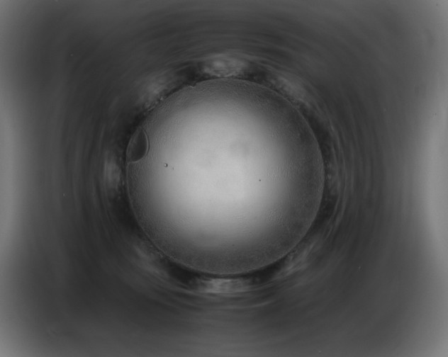 X0000086740371200704131134
