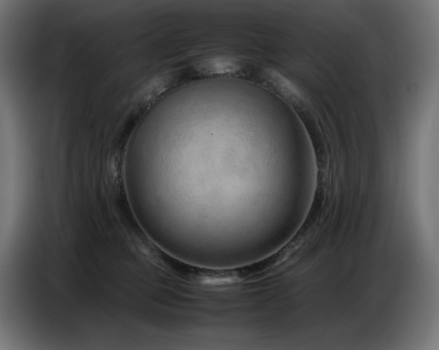 X0000086740373200704131134