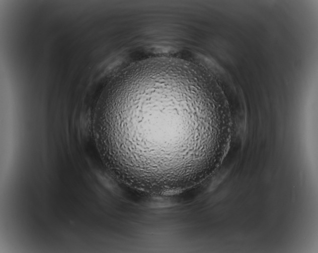 X0000086740376200704131134