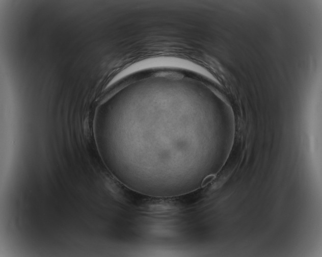 X0000086740377200704131134