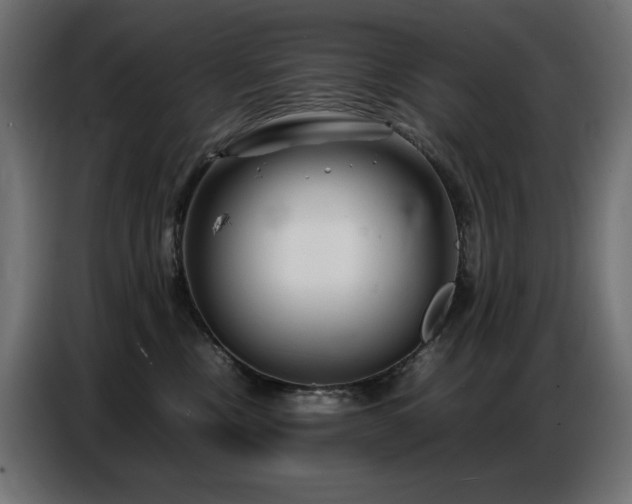 X0000086740378200704131134