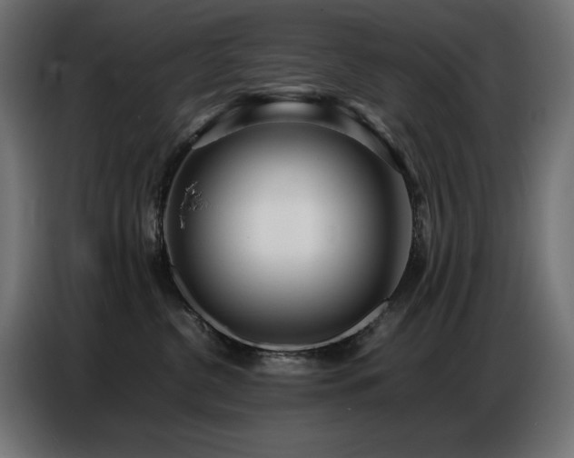 X0000086740380200704131134
