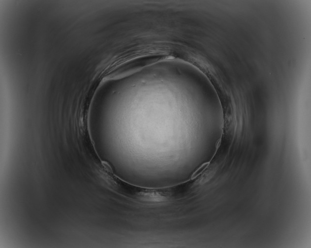 X0000086740381200704131134