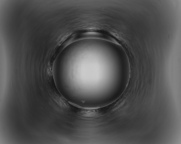 X0000086740384200704131134