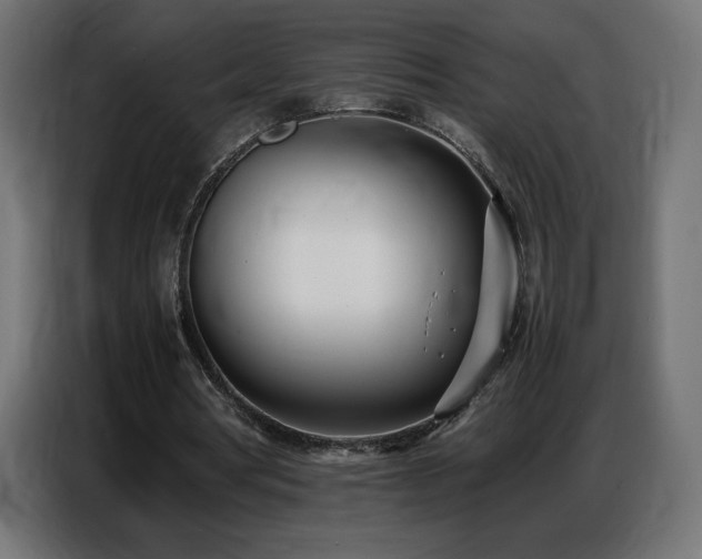 X0000086740386200704131133