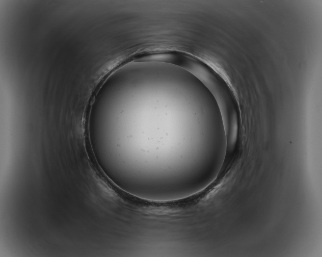 X0000086740389200704131133