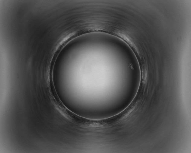 X0000086740390200704131133