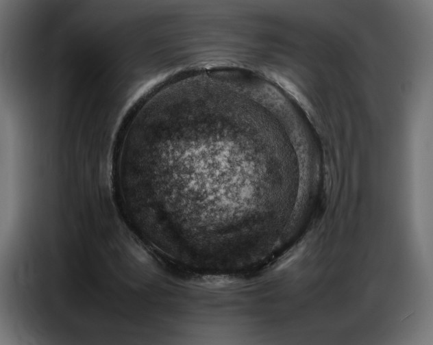 X0000086740391200704131133