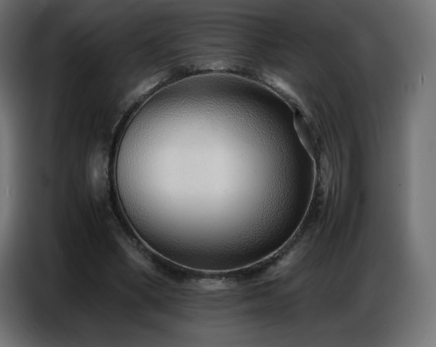 X0000086740394200704131133