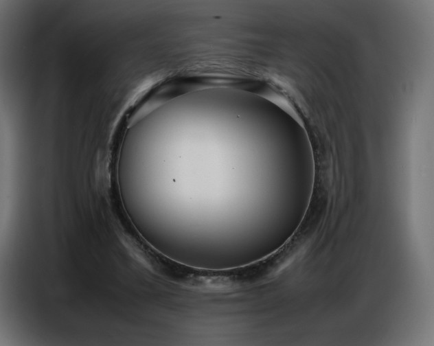 X0000086740395200704131133