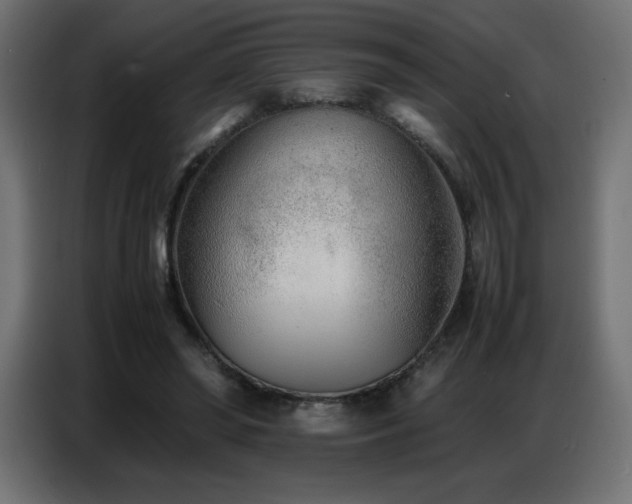 X0000086740398200704131133