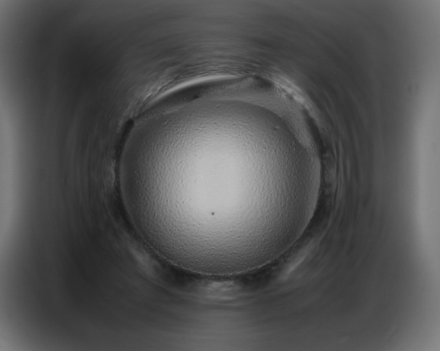 X0000086740401200704131133
