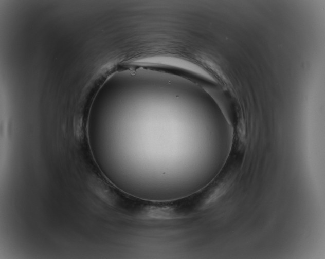 X0000086740403200704131133