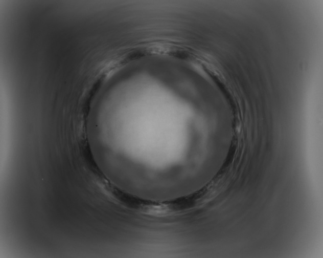X0000086740411200704131133