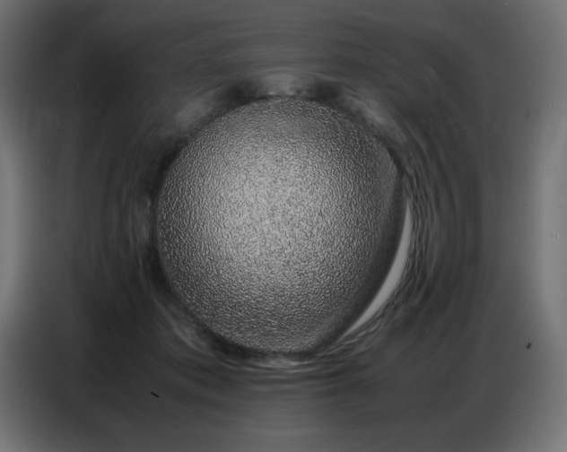 X0000086740413200704131133