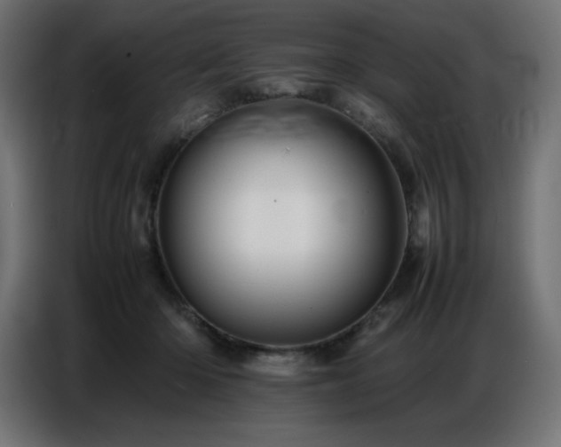 X0000086740414200704131133