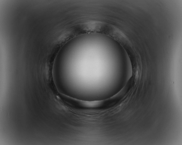 X0000086740416200704131133