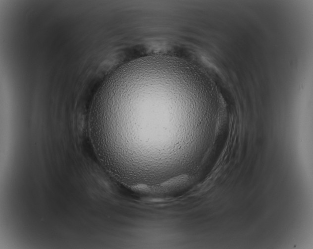 X0000086740417200704131133